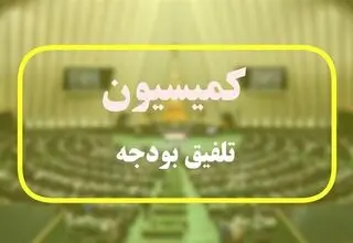 بند مربوط به وام ازدواج و فرزندآوری به کمیسیون تلفیق ارجاع شد       