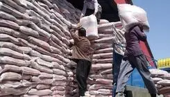 توزیع ۲ هزار تن برنج پاکستانی با قیمت هر کیلوگرم ۱۵۱ هزار تومان