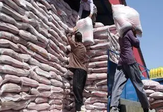 توزیع ۲ هزار تن برنج پاکستانی با قیمت هر کیلوگرم ۱۵۱ هزار تومان
