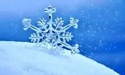 بارش سنگین برف برخی مدارس اراک را تعطیل کرد+فیلم