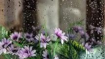 رگبار، صاعقه و وزش باد در راه است