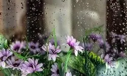 پیش‌بینی بارش باران تا آخر هفته