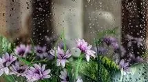 شروع بارش باران شدید از امروز تا یکشنبه ۱۵ تیرماه+جزئیات
