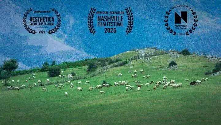 فیلم «گوسفند» به جشنواره‌های انگلیسی و امریکایی راه پیدا کرد