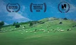 فیلم «گوسفند» به جشنواره‌های انگلیسی و امریکایی راه پیدا کرد