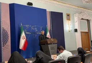 بقائی: روند مذاکرات درباره اموال بلوکه شده ادامه دارد