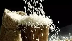 هند بزرگترین تولیدکننده برنج جهان شد