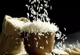 هند بزرگترین تولیدکننده برنج جهان شد