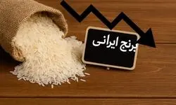 قیمت برنج امروز به مرز بحران رسید