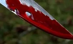  پنهان شدن قاتل افغانستانی در گاوداری / قتل در بهارستان تهران بازداشت در شهرضا