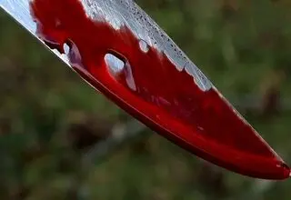  پنهان شدن قاتل افغانستانی در گاوداری / قتل در بهارستان تهران بازداشت در شهرضا