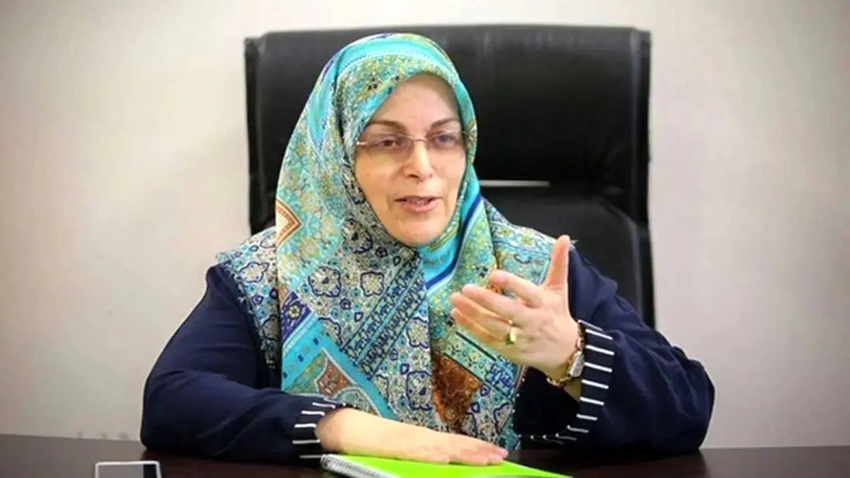 منصوری: اصلاح‌طلبان دشمن نظام نیستند