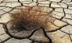 کاهش ۴۰ درصدی بارش‌ها در کشور