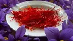 غارت طلای سرخ ایران؛ زعفران ایران زیر ضرب قاچاق و خام‌فروشی!