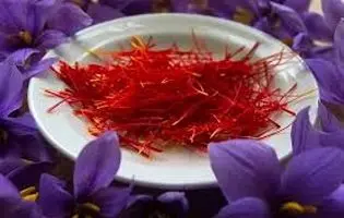 غارت طلای سرخ ایران؛ زعفران ایران زیر ضرب قاچاق و خام‌فروشی!