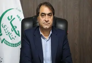 باید قیمت نهایی مرغ گرم به ۱۲۰ تا حداکثر ۱۲۳ هزار تومان برسد