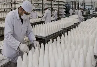 قیمت قند و شکر امروز