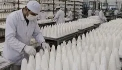 قیمت قند و شکر امروز