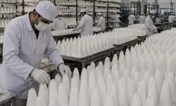 صادرات قند آزاد شد