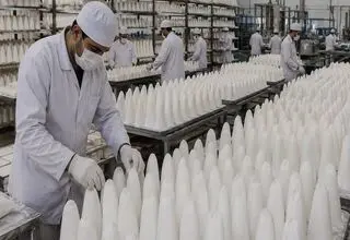 صادرات قند آزاد شد