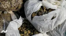 میوه با طعم مواد مخدر