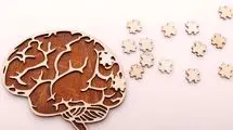 کلسترول در ابتلا به آلزایمر چه نقشی دارد؟