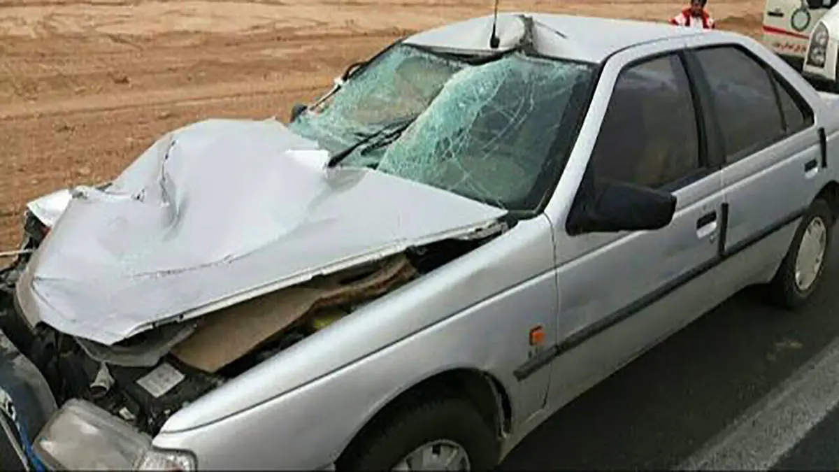تصادف پژو ۱۰ نفر مصدوم به جا گذاشت