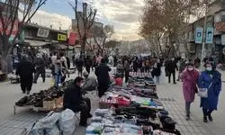 2 مدیر متخلف در قزوین برکنار شدند 
