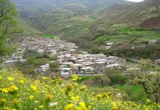 گوشخانی؛ روستایی بر بلندای تاریخ و طبیعت
سروآباد