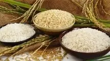 لجام‌گسیختگی در بازار برنج