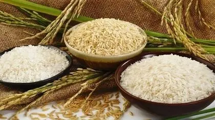 لجام‌گسیختگی در بازار برنج