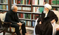 آیت الله نوری همدانی: از رییس‌جمهور حمایت می‌کنیم/ صداوسیما از بیان مطالب ناامید کننده پرهیز کند