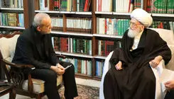 آیت الله نوری همدانی: از رییس‌جمهور حمایت می‌کنیم/ صداوسیما از بیان مطالب ناامید کننده پرهیز کند