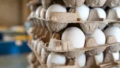 خبر رسمی درباره قیمت تخم مرغ اعلام شد/ ۱۲ آذر 