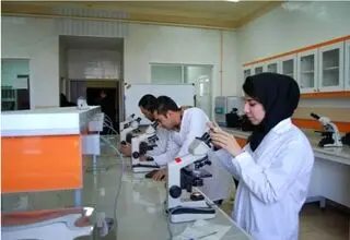 تمدید خودکار استحقاق درمان دانشجویان تا پانزدهم فروردین ۱۴۰۵