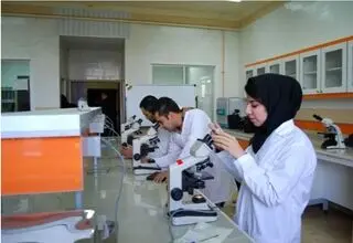 تمدید خودکار استحقاق درمان دانشجویان تا پانزدهم فروردین ۱۴۰۵