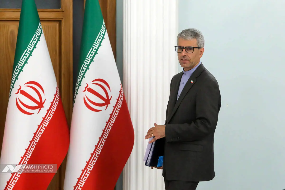 نشست خبری سخنگوی وزارت امور خارجه