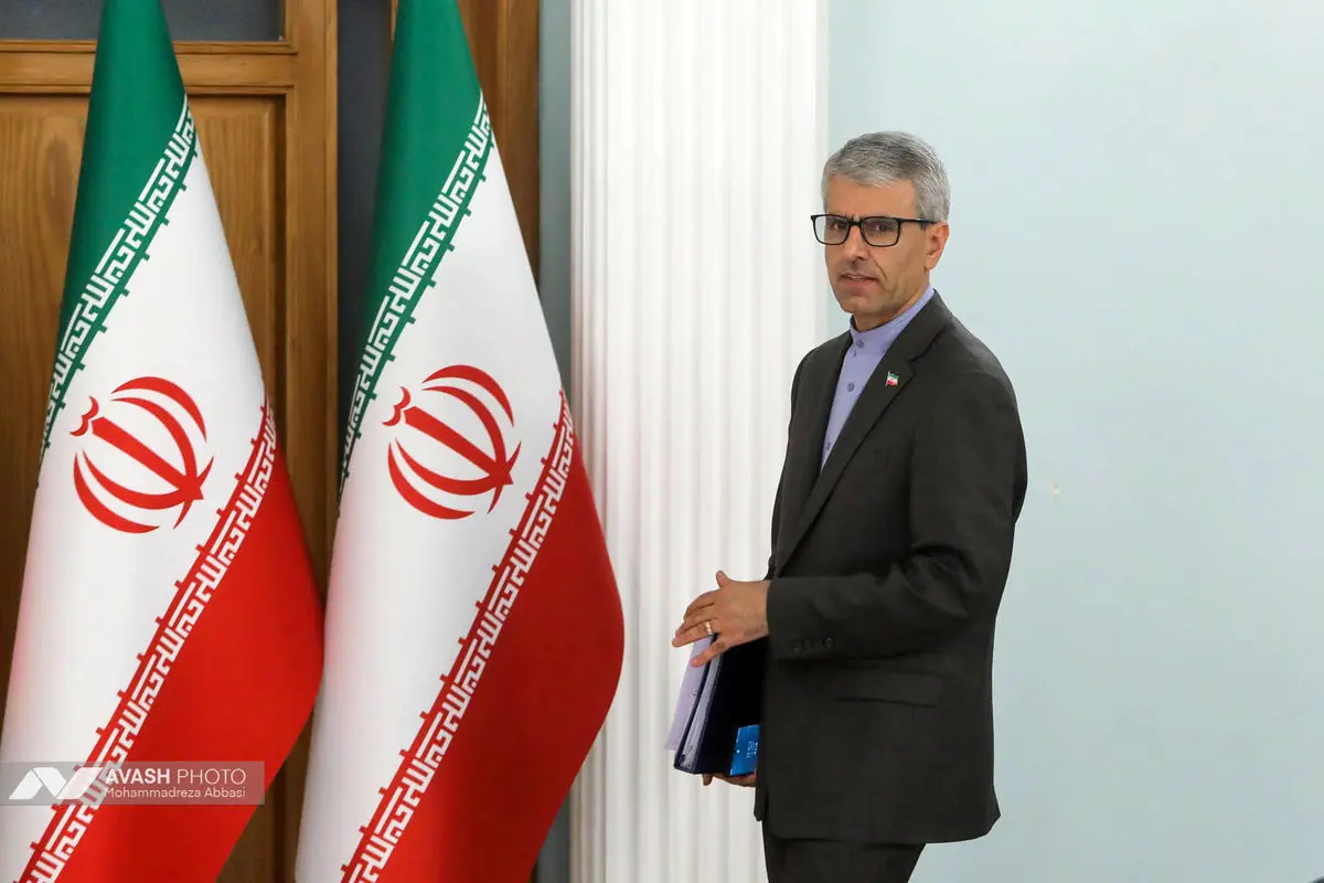 نشست خبری سخنگوی وزارت امور خارجه