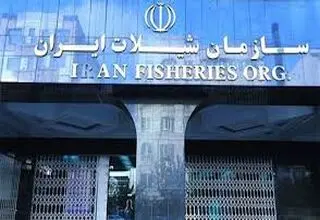 صادرات محصولات شیلاتی کشور از مرز 700 میلیون دلار گذشت