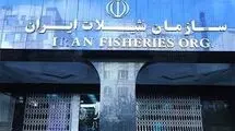صادرات محصولات شیلاتی کشور از مرز 700 میلیون دلار گذشت
