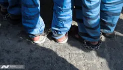پایان زورگیری مسلحانه قهرمان کشتی