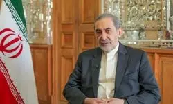توئیت کنایه آمیز مشاور رهبر انقلاب با هشتگ تهدید پوچ 