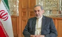  ولایتی: امروز خانواده آمریکایی هزینه قمار سردمدارانش را نقداً می‌دهد