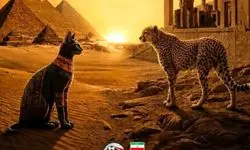 فیفا به حواشی ایران و مصر واکنش نشان داد؛ «مسابقه افتخار» در کار نیست!