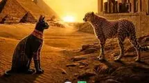 فیفا به حواشی ایران و مصر واکنش نشان داد؛ «مسابقه افتخار» در کار نیست!