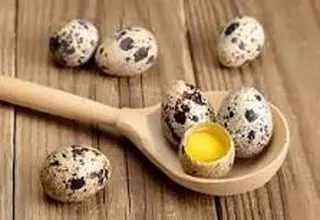 ۱۰ خاصیت فوق العاده تخم بلدرچین برای کودکان