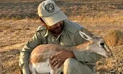 بلاتکلیفی خانواده محیط‌بانی که در مقابل دادگاه کشته شد