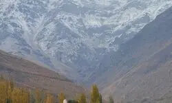 تصاویر دل انگیز از اولین بارش برف پاییزی در تهران