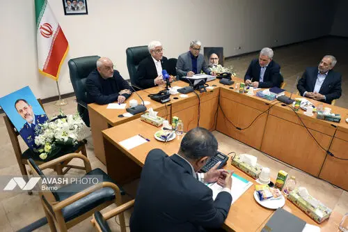 جلسه هیات دولت به ریاست معاون اول رئیس جمهور