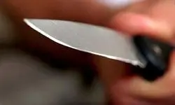 عامل ایجاد مزاحمت برای همسایگان دستگیر شد